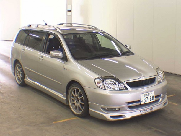 Накладки на пороги "Gialla" Toyota Corolla (120, 121 Fielder) купить недорого с доставкой в Курган