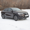 Защита порогов вогнутая d51мм ШАГРЕНЬ (ППК) RENAULT Arkana (2019-н.в.) купить недорого с доставкой в Курган